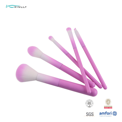 5Pcs紫色100%のプラスチック ハンドルが付いている総合的な毛の構造のブラシ セット